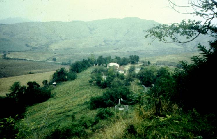 251.jpg