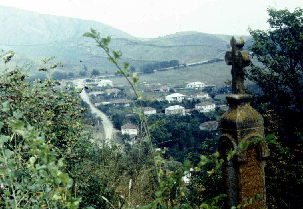 256.jpg