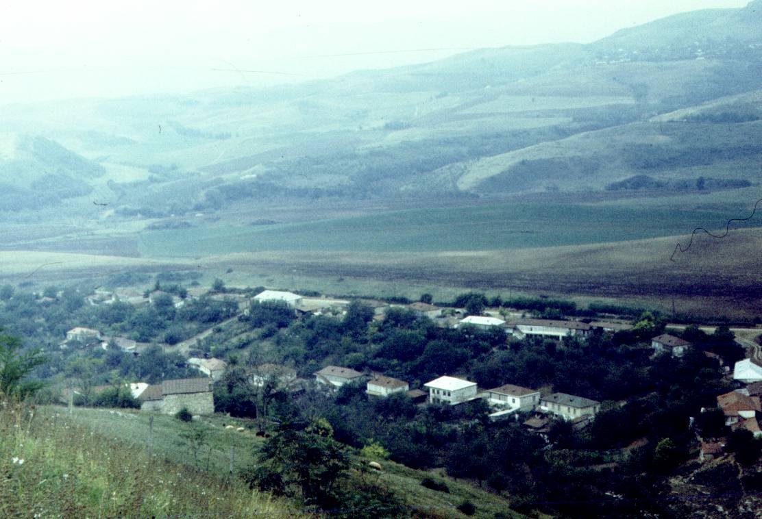 263.jpg
