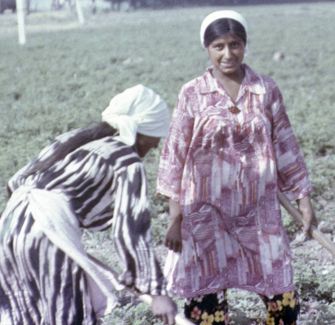 031-1.jpg