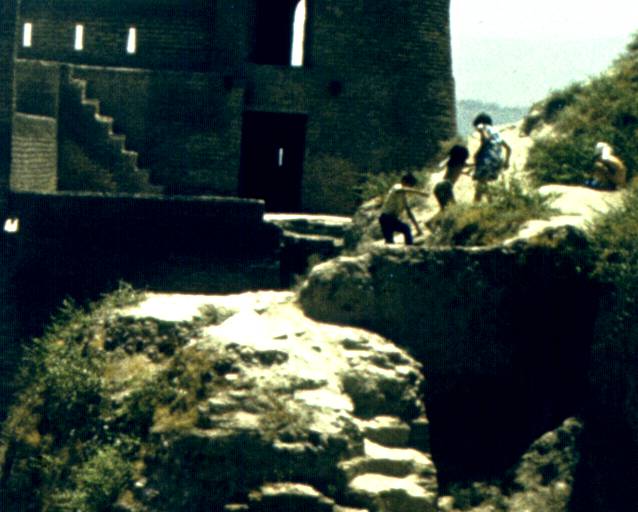 044-1.jpg