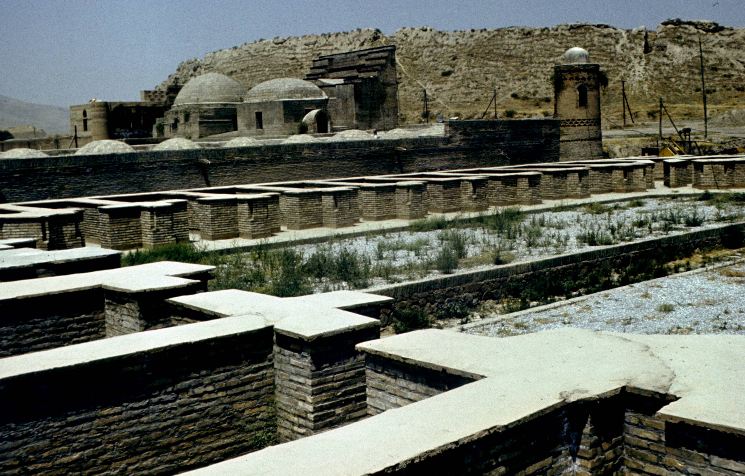 050.jpg