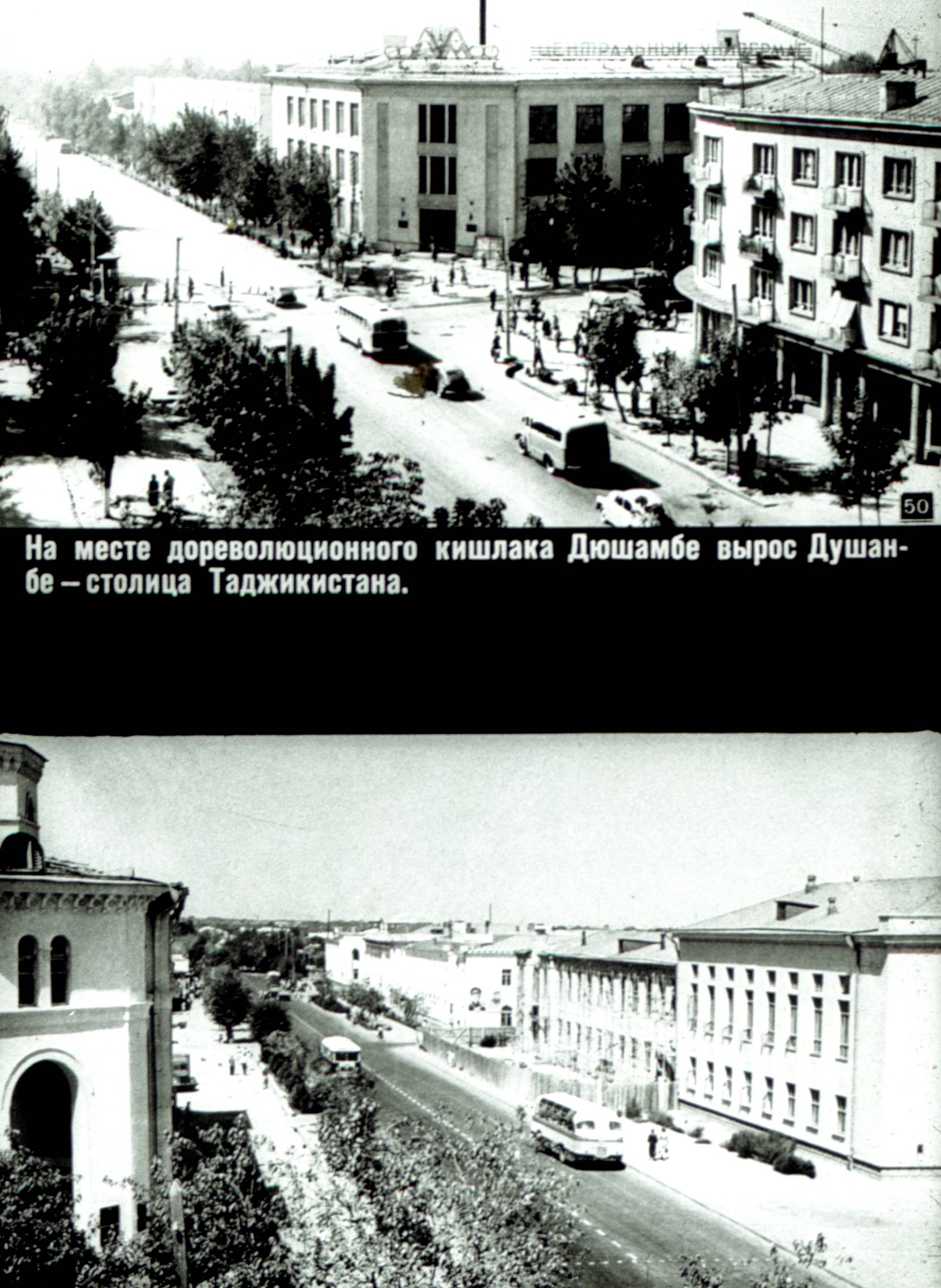 100.jpg