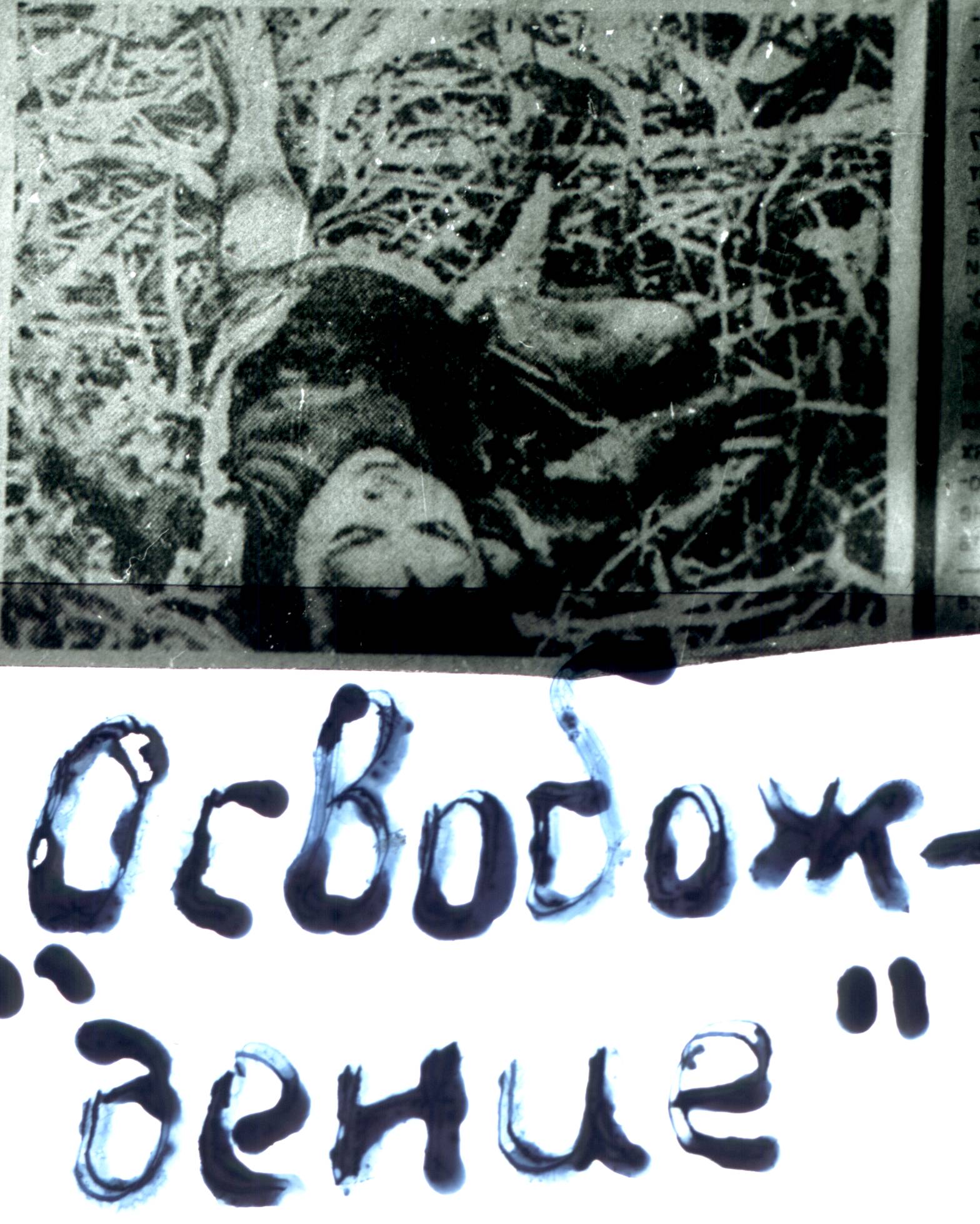 116.jpg