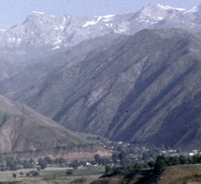 124-1.jpg