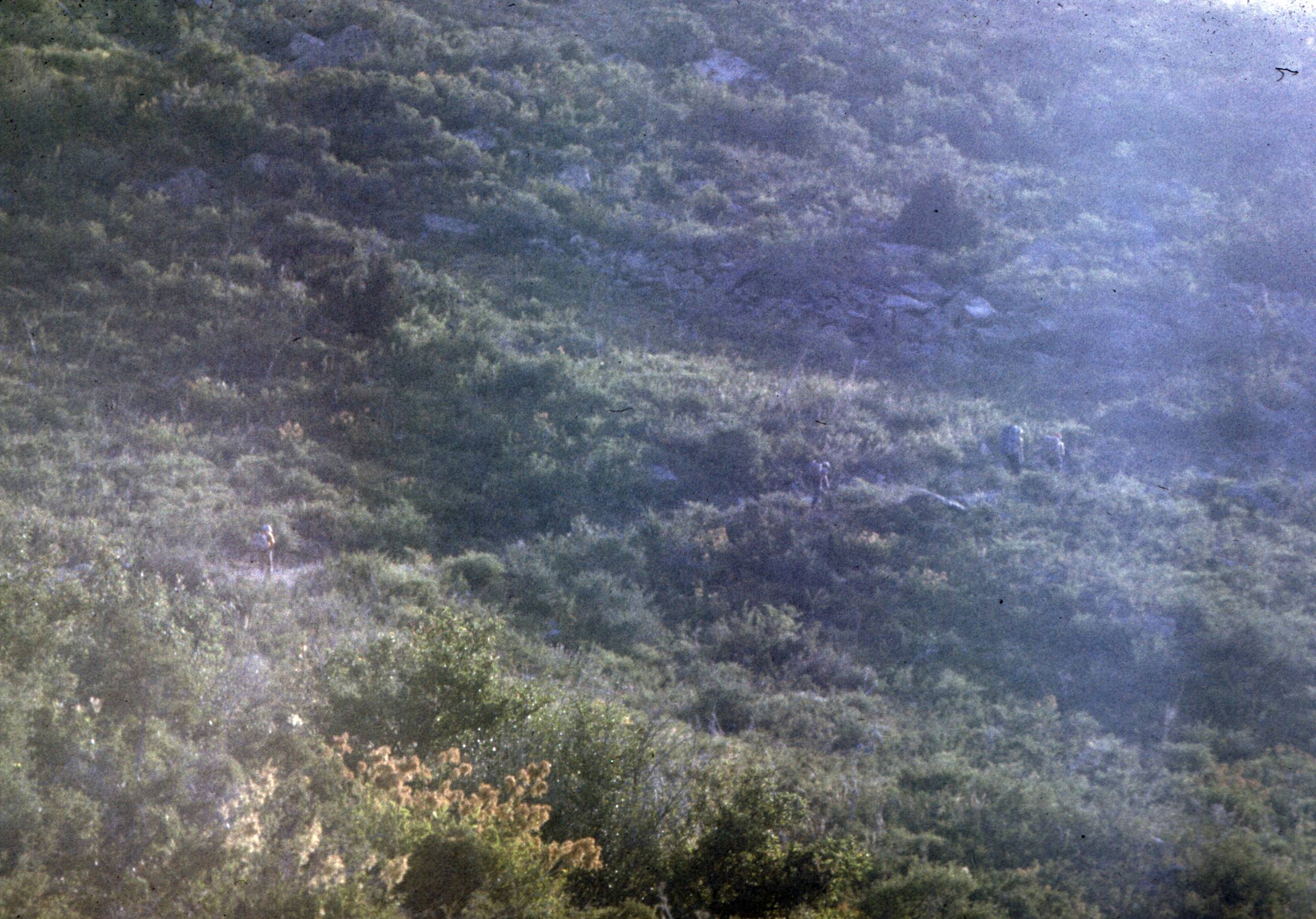 127.jpg