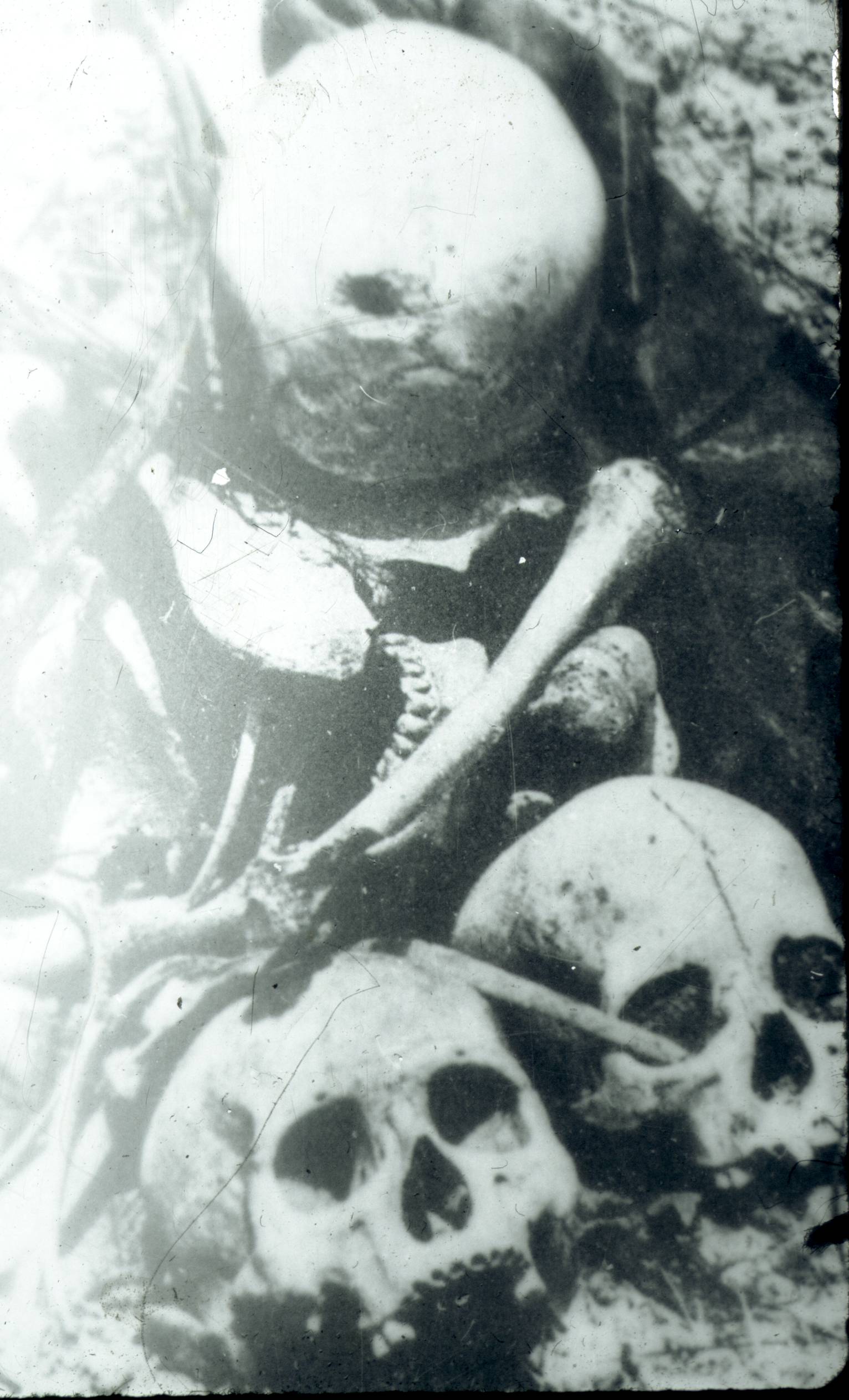142.jpg