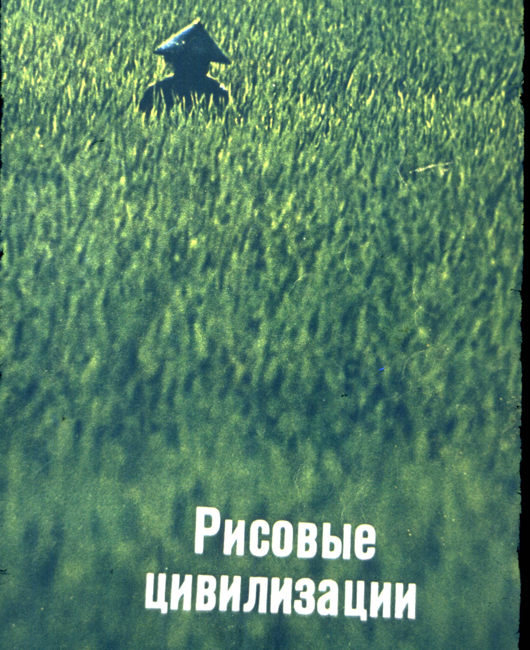 143-1.jpg