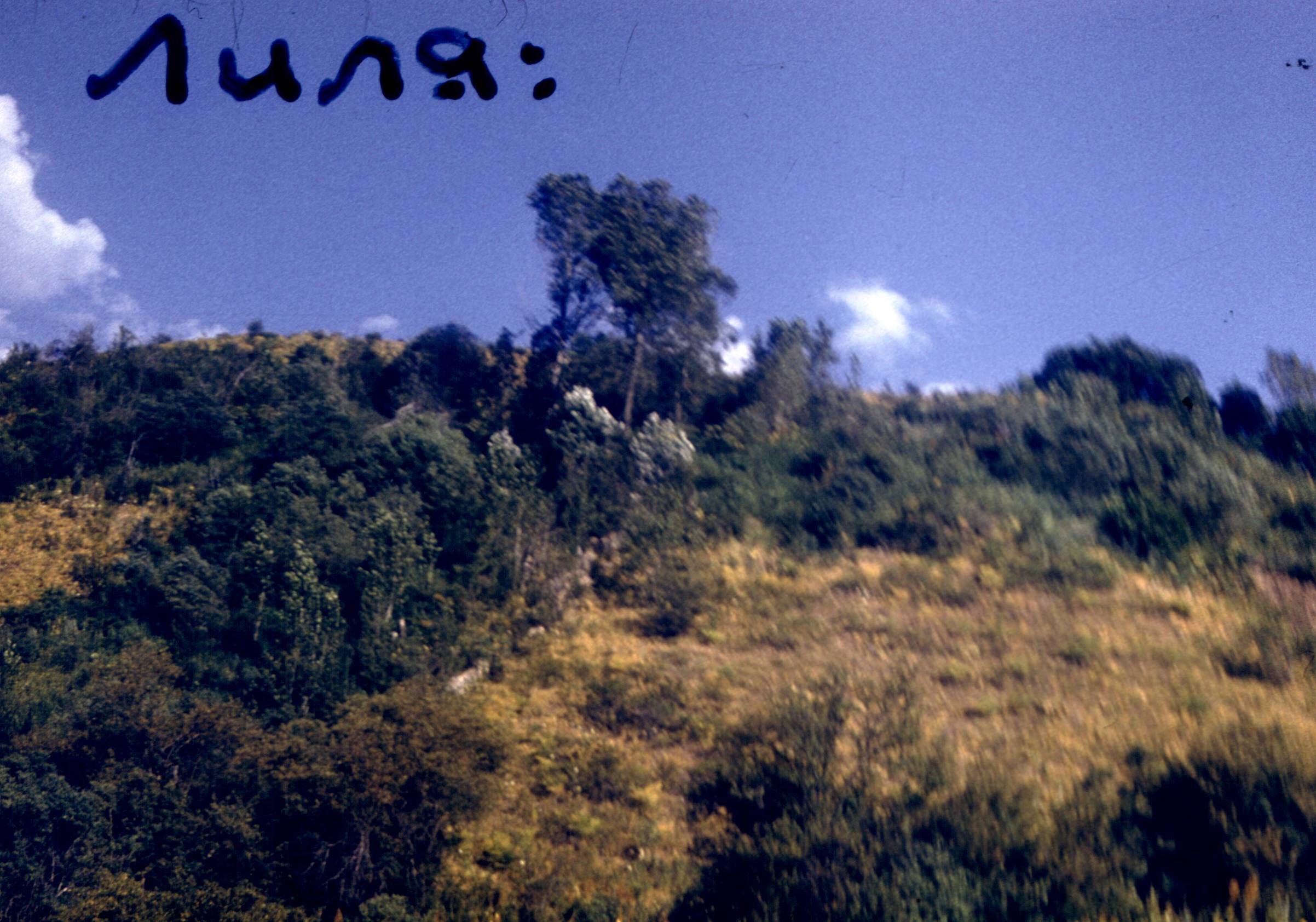 172.jpg