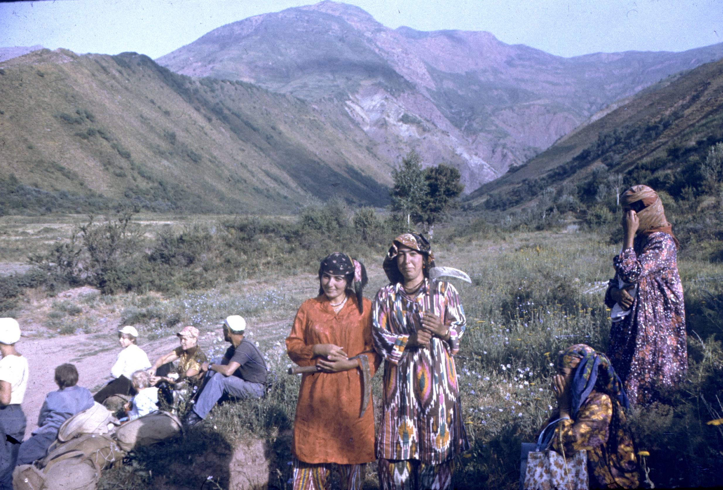 176.jpg