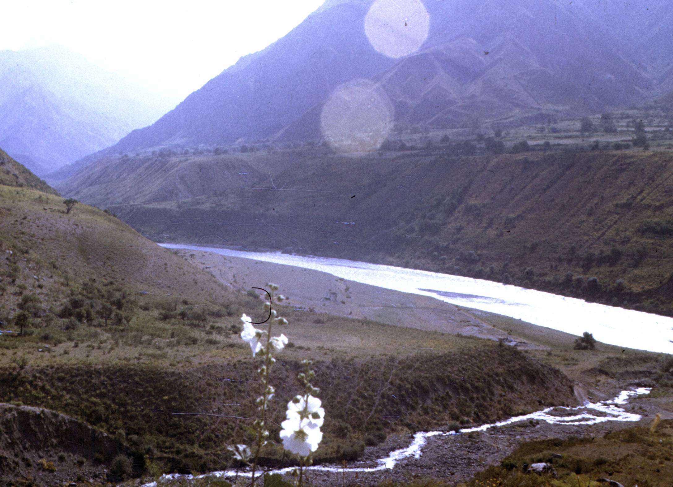 184.jpg