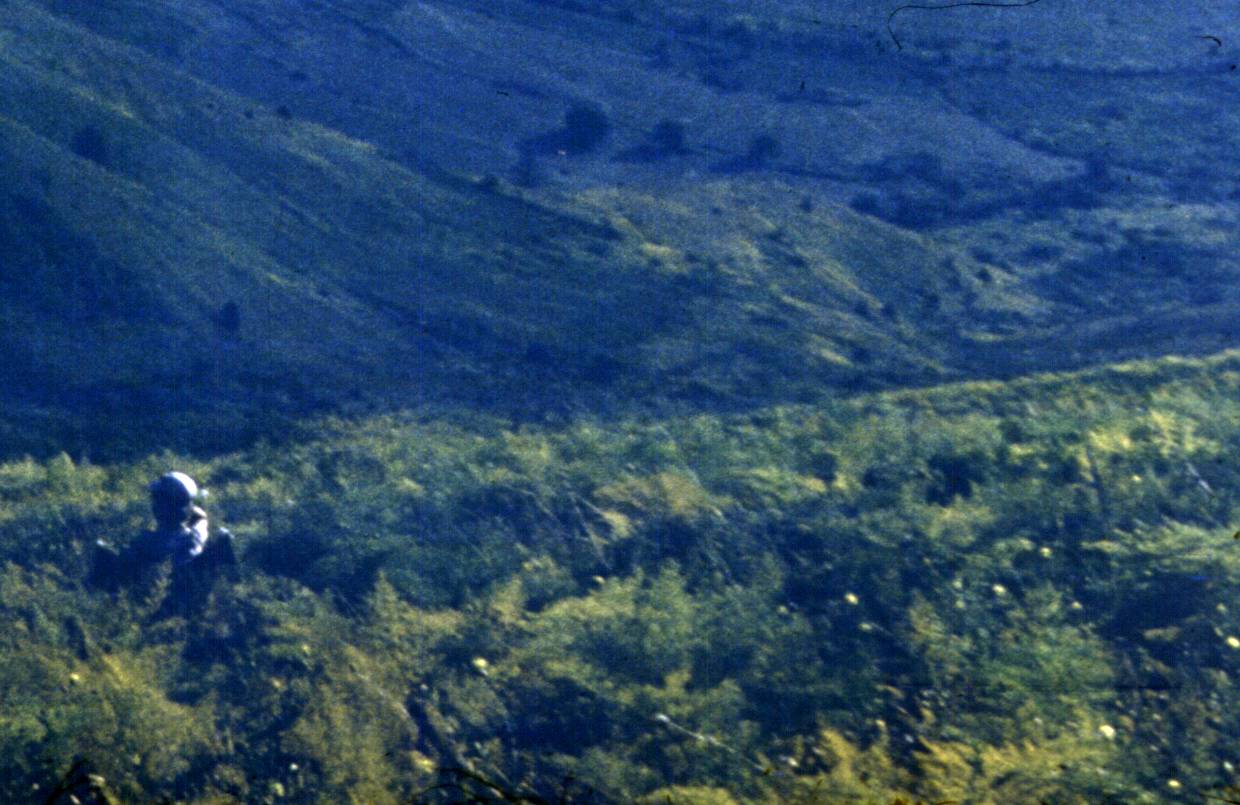 186.jpg