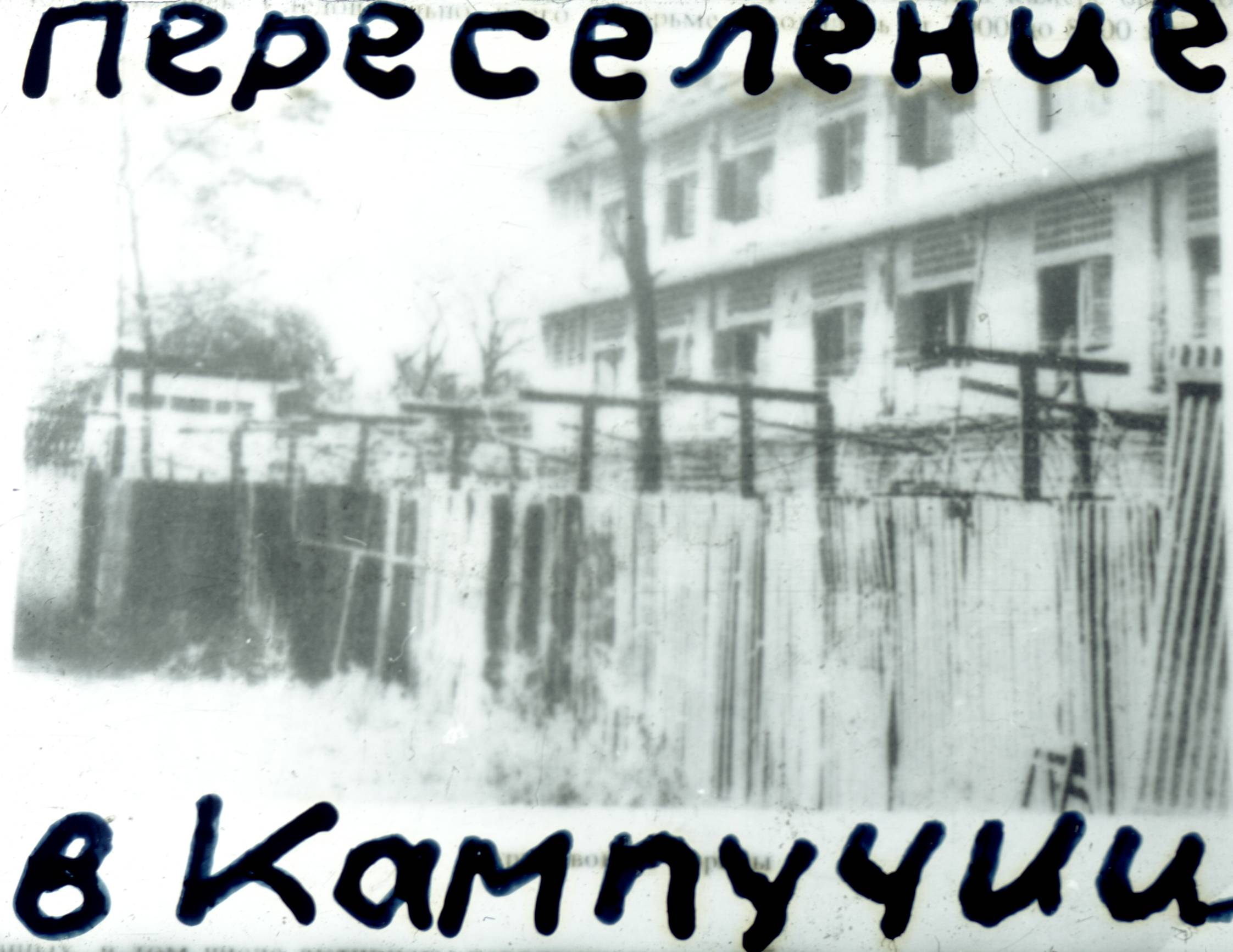 187.jpg