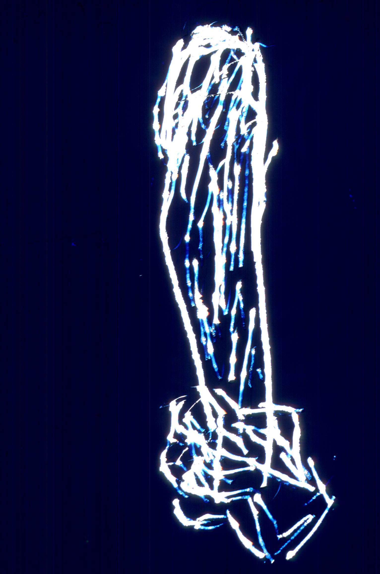 196.jpg