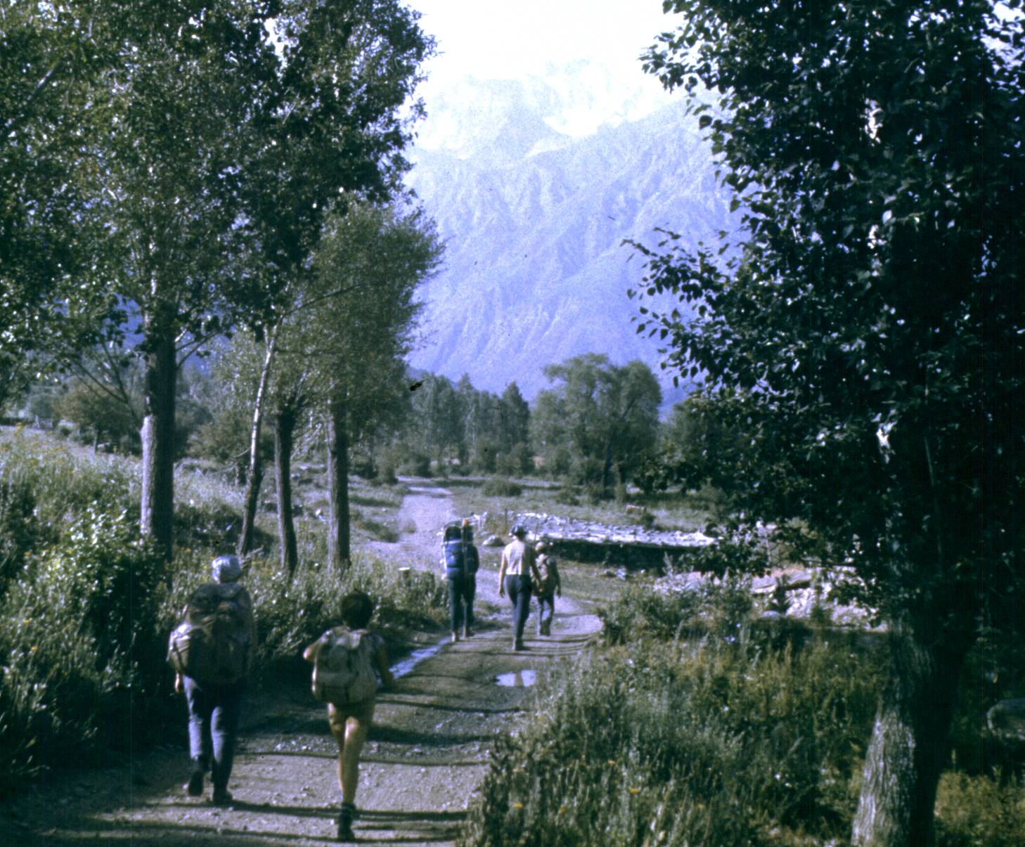 204.jpg