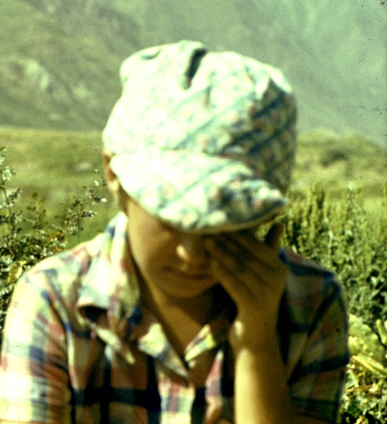 243.jpg